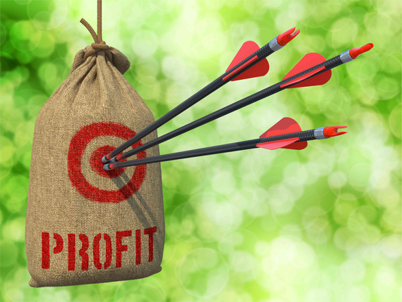 Profit Margin