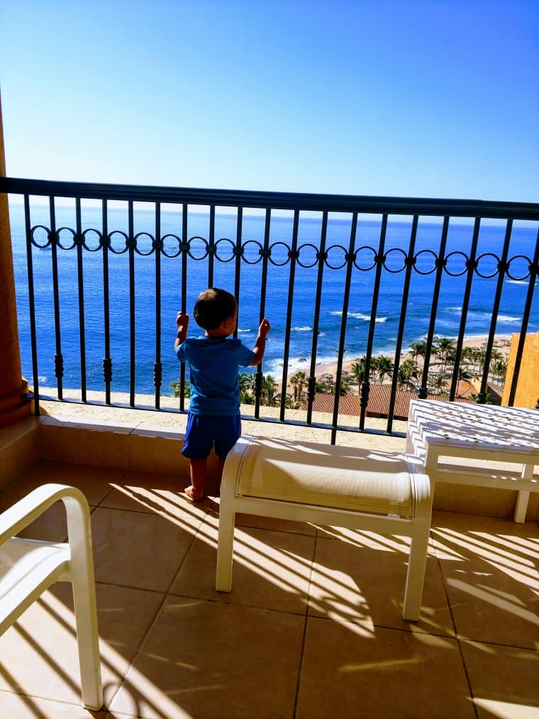 Solly in Cabo, Mexico Solly in Cabo, Mexico