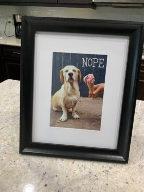 i-framed-this-birthday-card-from-grandma-now-its-in-the-office