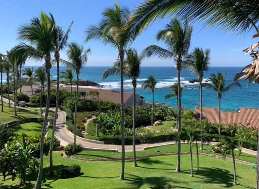 punta-mita-room-view
