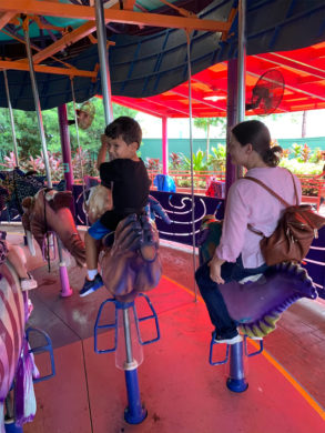 solly-on-carousel