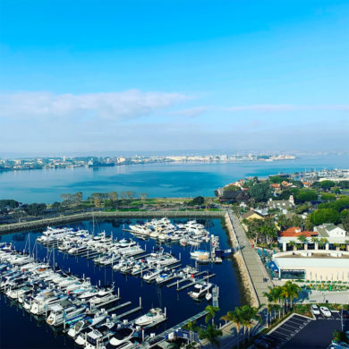 view-from-my-room-t&c
