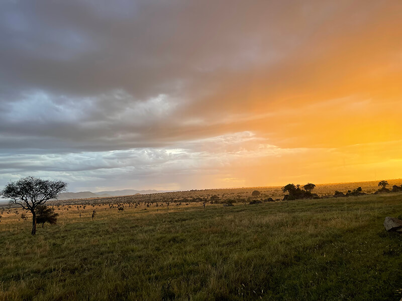 Beautiful Serengeti Sunrise - Endless Plains