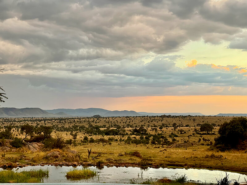 Beautiful Serengeti Landscape in the Morning