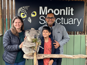 Petting Koala at the Moonlit Sanctuary - super cool experience