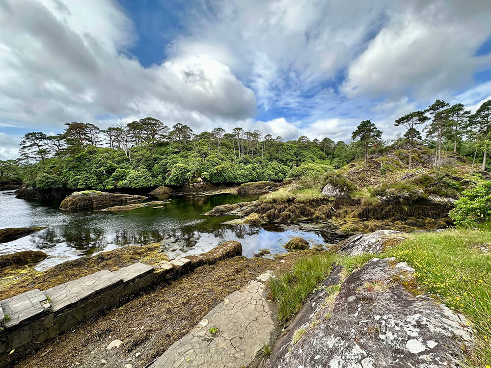 Syed Balkhi's 2025 Year End Review Photo - Ireland Trip Photo